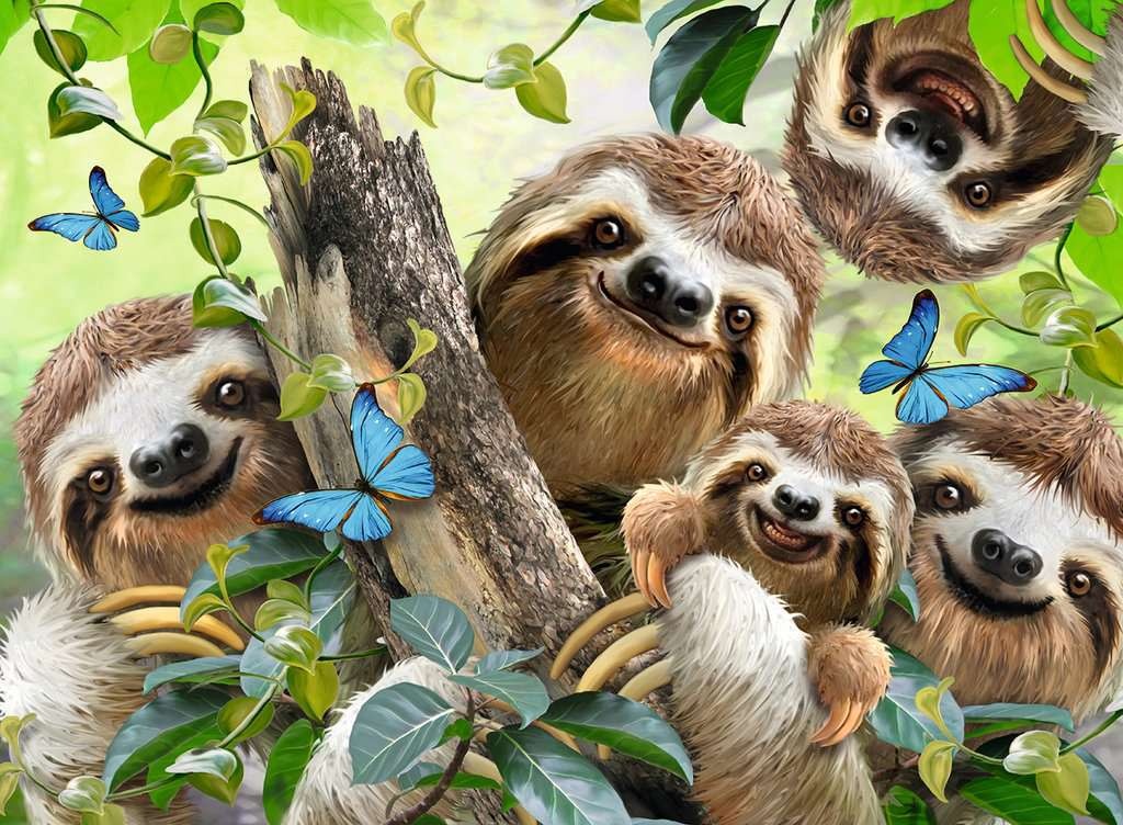 Ravensburger Ravensburger Puzzle 500pc Sloth Selfie
