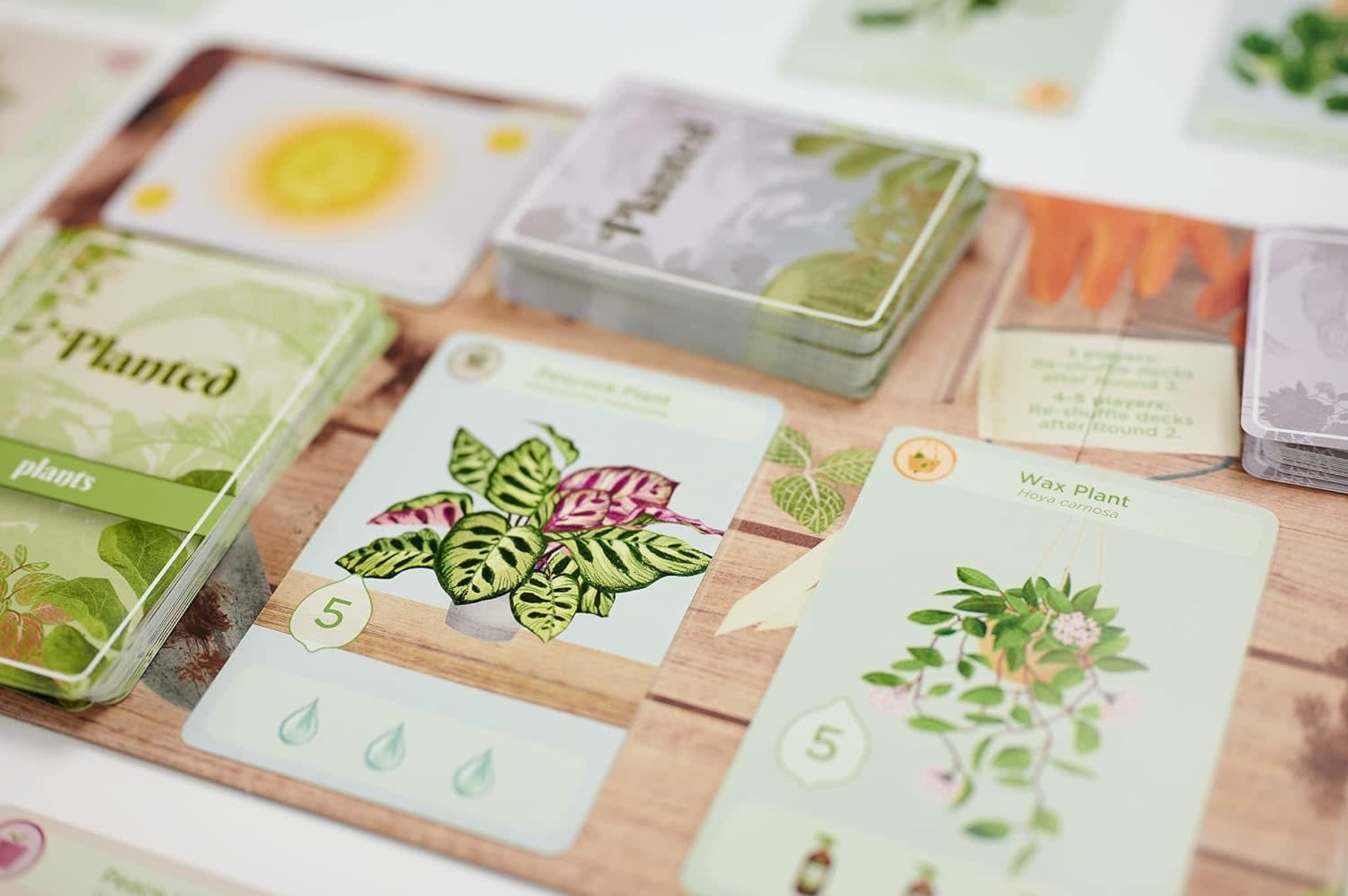 Buffalo Games Planted Board Game