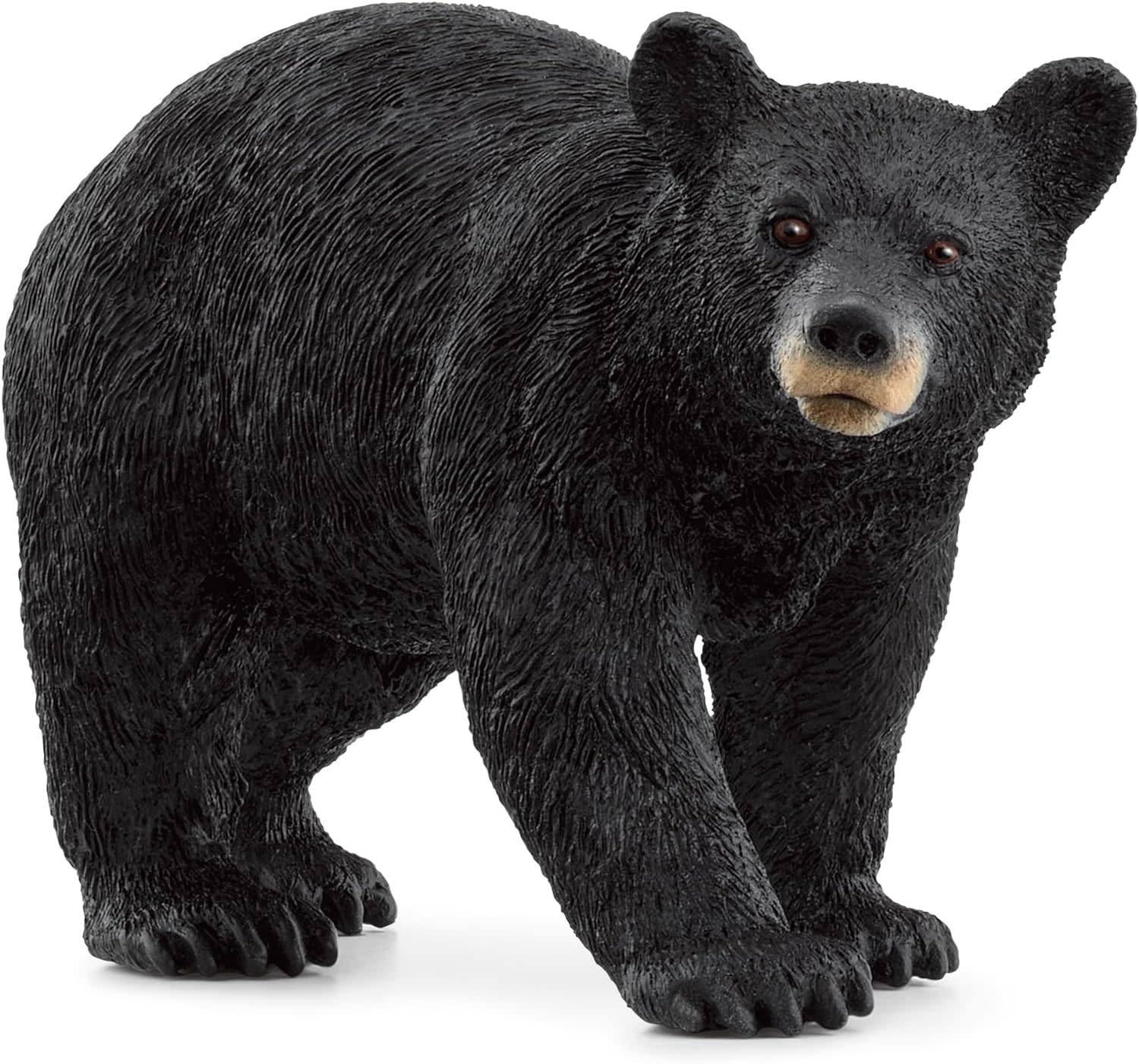 Schleich Schleich Wild Life American Bear