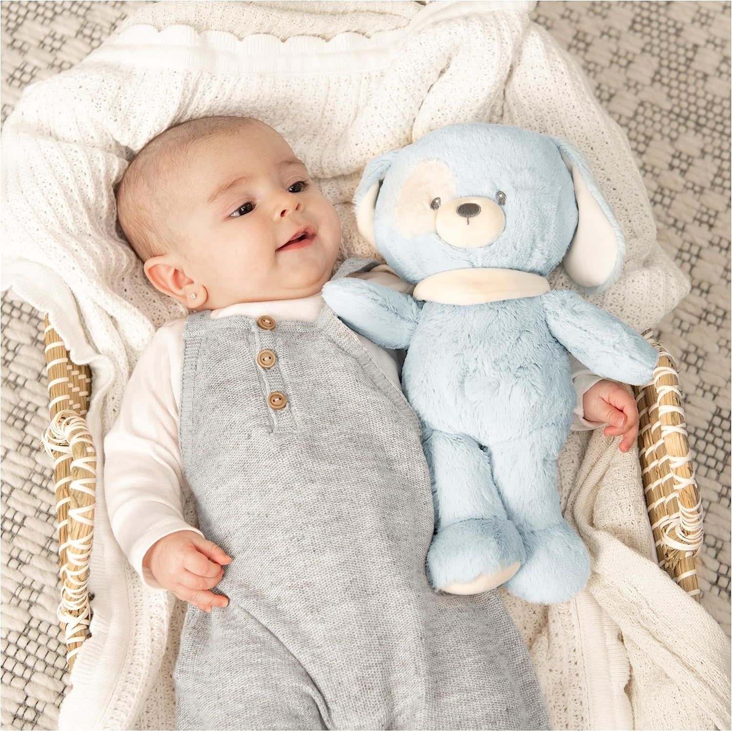 Gund  Blue Puppy 100% Recycled