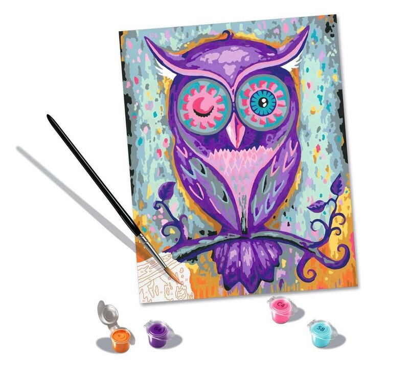 CreArt Painting by Numbers Dreaming Owl