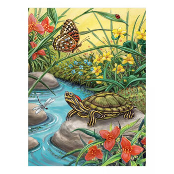 Paint by Numbers Red Eared Slider Turtle