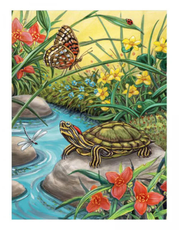 Paint by Numbers Red Eared Slider Turtle