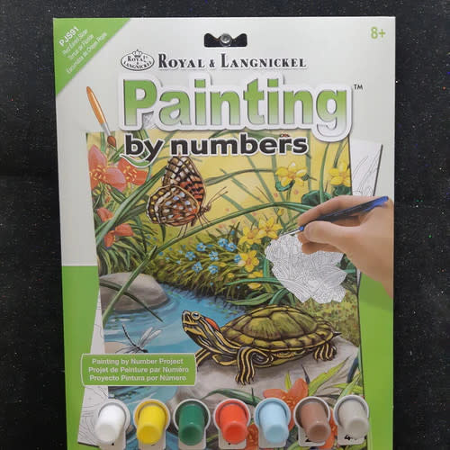 Paint by Numbers Red Eared Slider Turtle