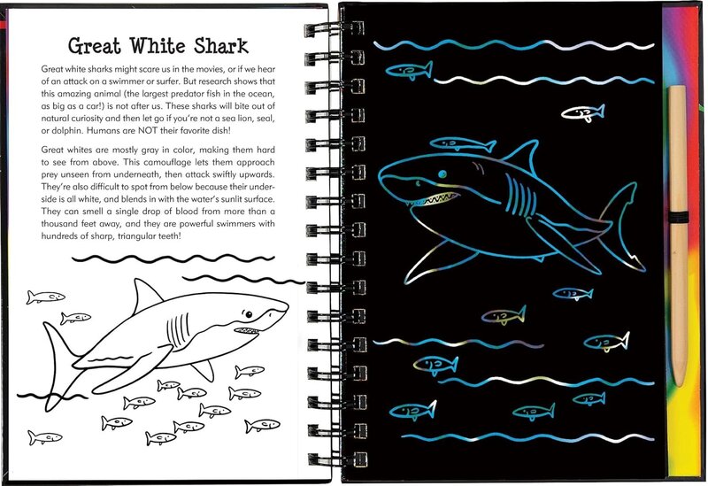 Peter Pauper Scratch and Sketch Extreme Trace Along Book Sharks