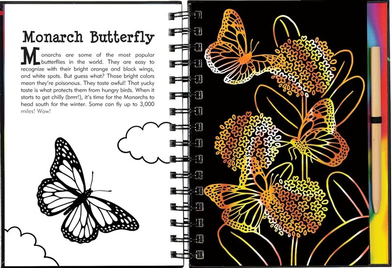 Peter Pauper Scratch and Sketch Trace Along Book Butterfly & Friends