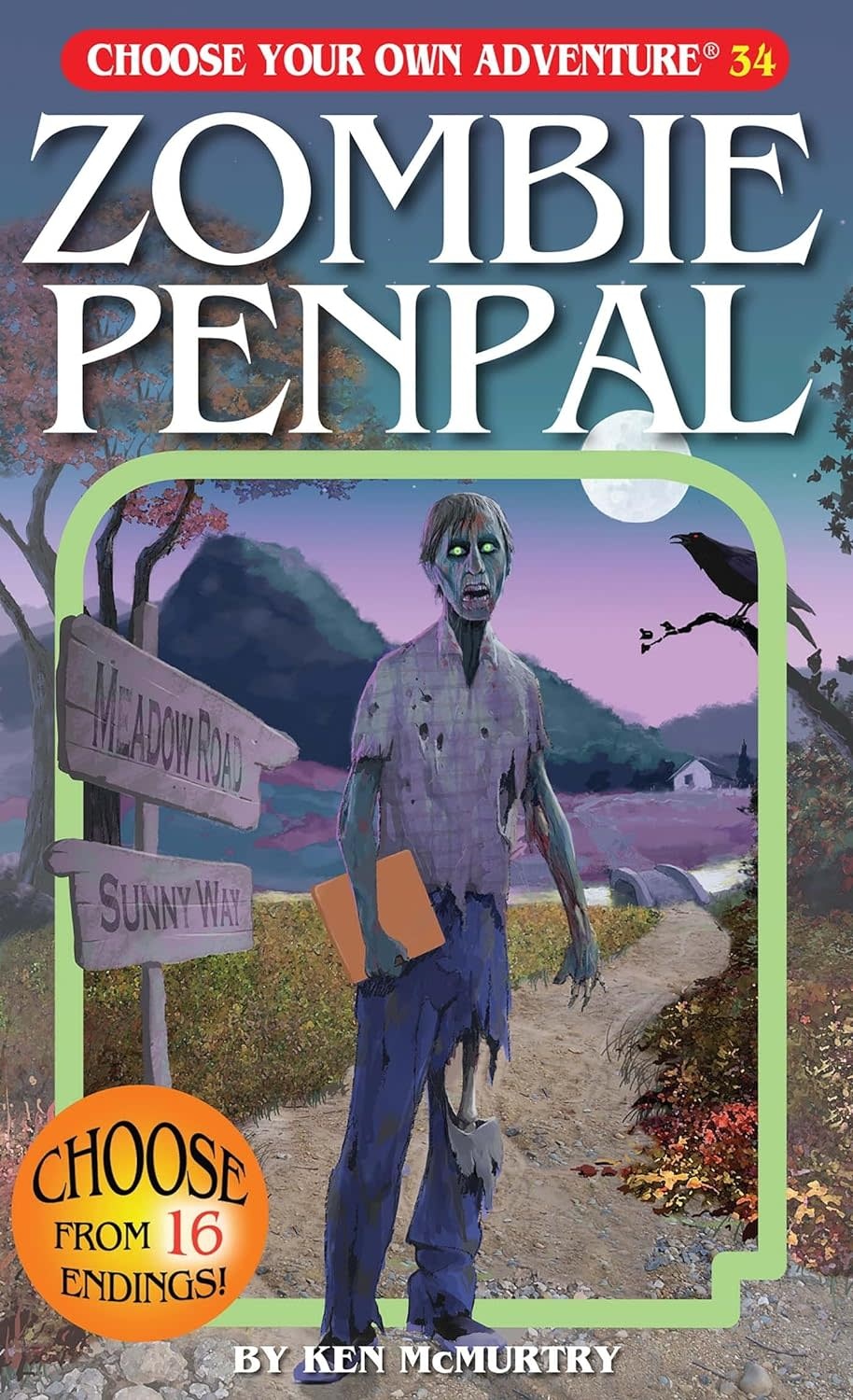 Choose Your Own Adventure Book: Zombie Penpal