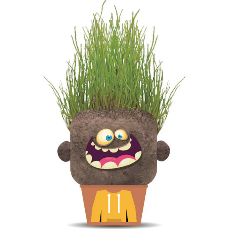 Hape Toys Plant Pals Monsters