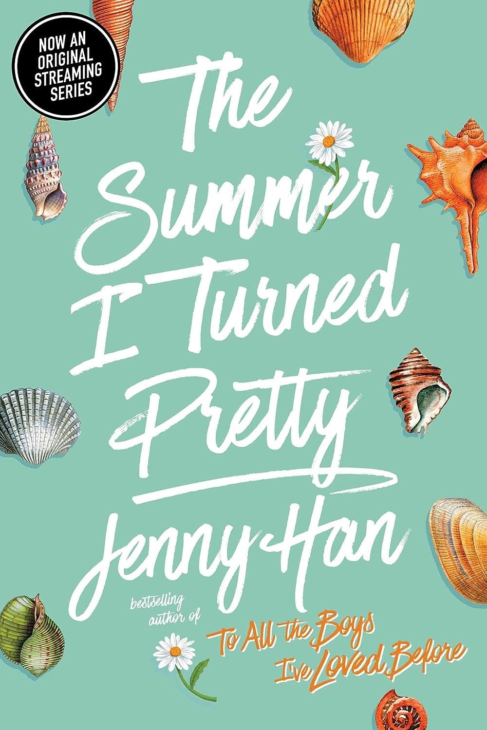 The Summer I Turned Pretty Book 1