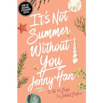 The Summer I Turned Pretty Book 2 It's Not Summer Without You
