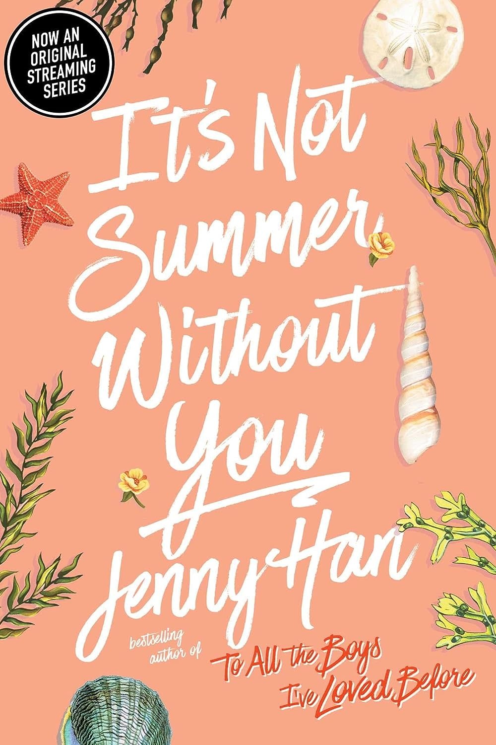 The Summer I Turned Pretty Book 2 It's Not Summer Without You