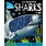 Make Believe Ideas Make Believe Book My Awesome Shark Book
