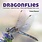 Firefly Books Dragonflies Book: Catching - Identifying - How and Where They Live