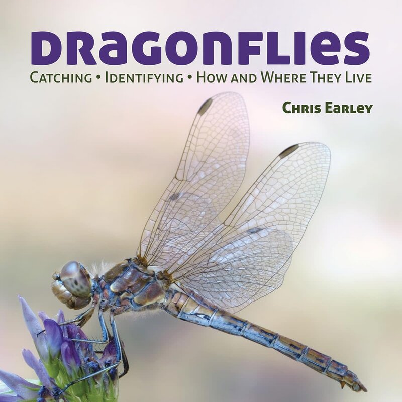 Firefly Books Dragonflies Book: Catching - Identifying - How and Where They Live