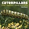 Firefly Books Caterpillars Book: Find, Identify, Raise your Own