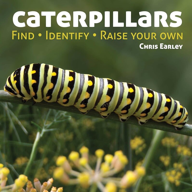Firefly Books Caterpillars Book: Find, Identify, Raise your Own