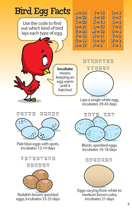 Kid Scoop Awesome Bird Puzzles for Kids Book