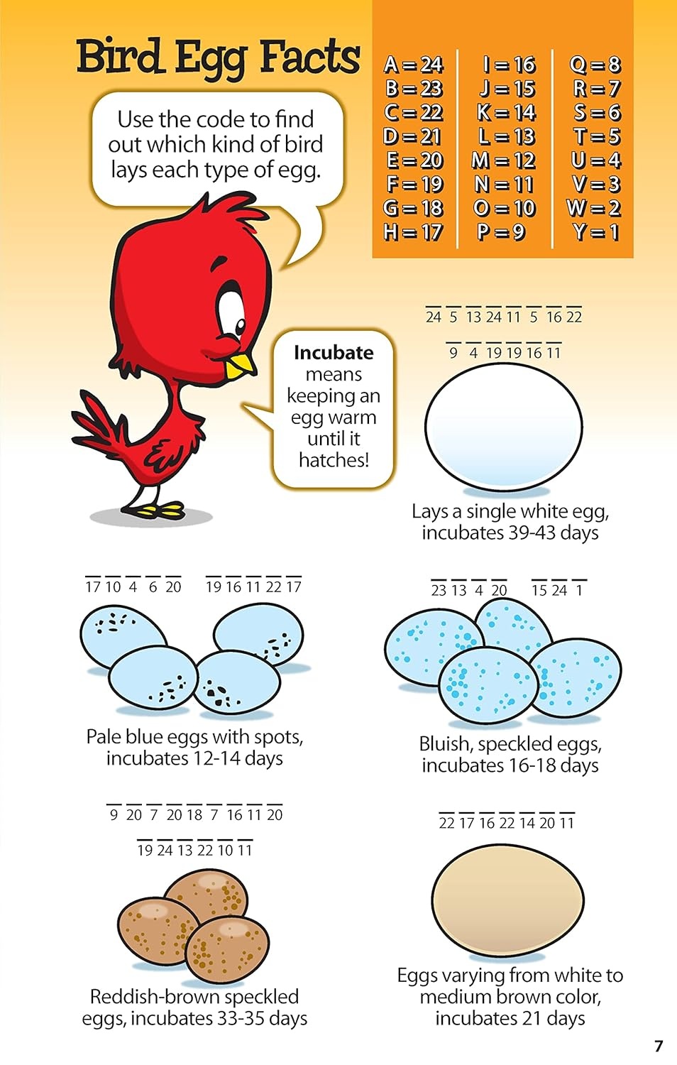 Kid Scoop Awesome Bird Puzzles for Kids Book