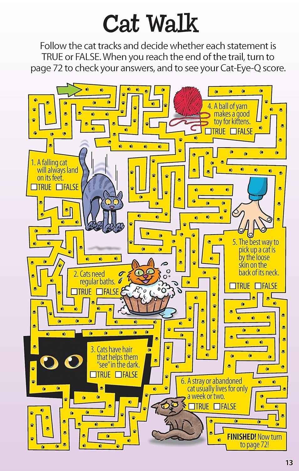 Kid Scoop Mind-Boggling Animal Puzzles for Kids Book