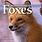 Firefly Books Exploring the World of Foxes Book