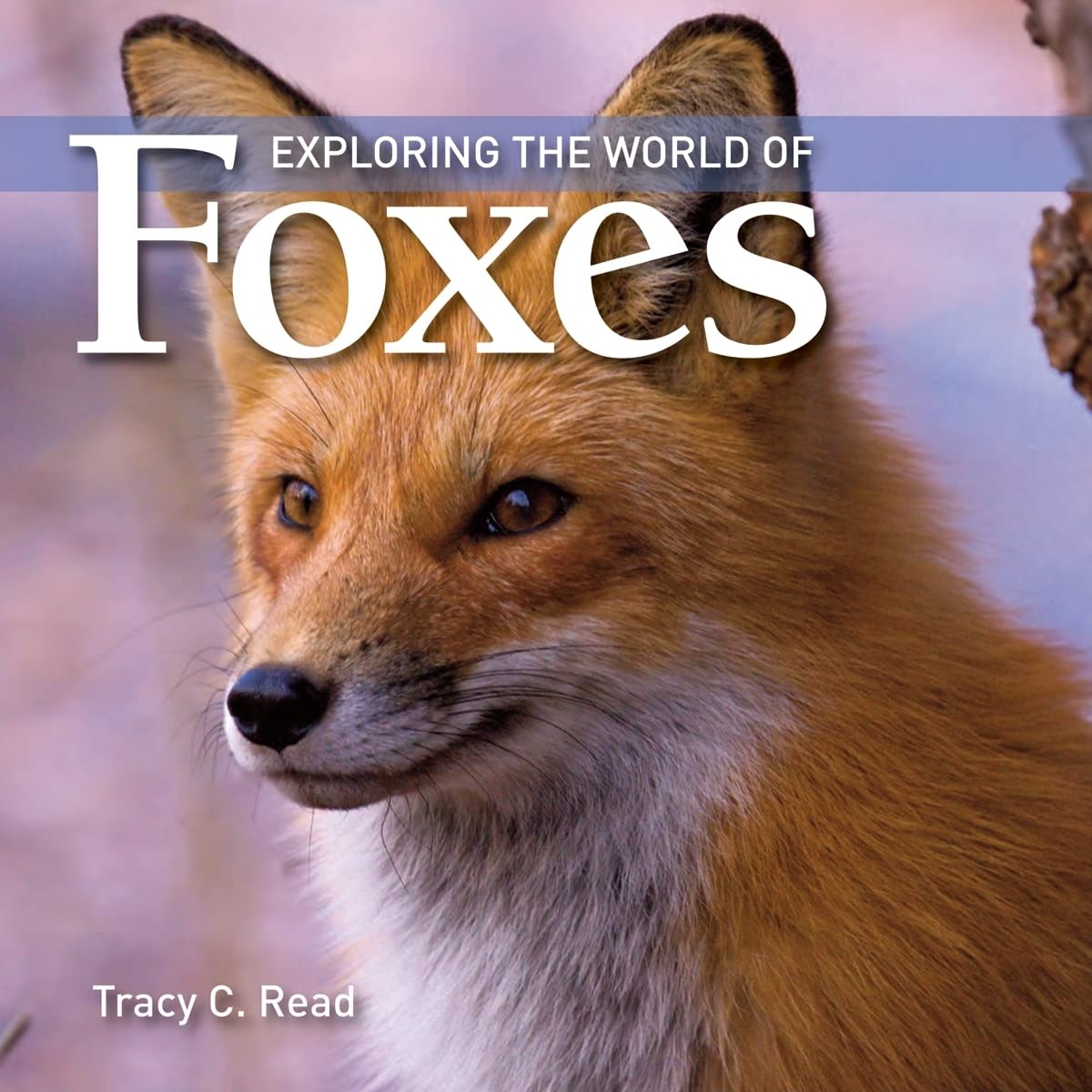 Firefly Books Exploring the World of Foxes Book
