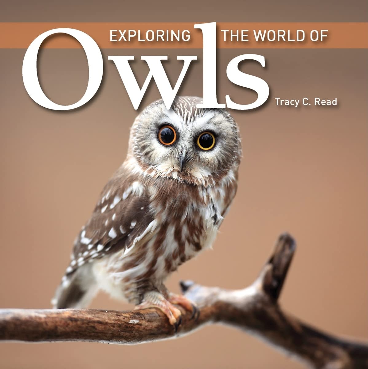 Firefly Books Exploring the World of Owls Book
