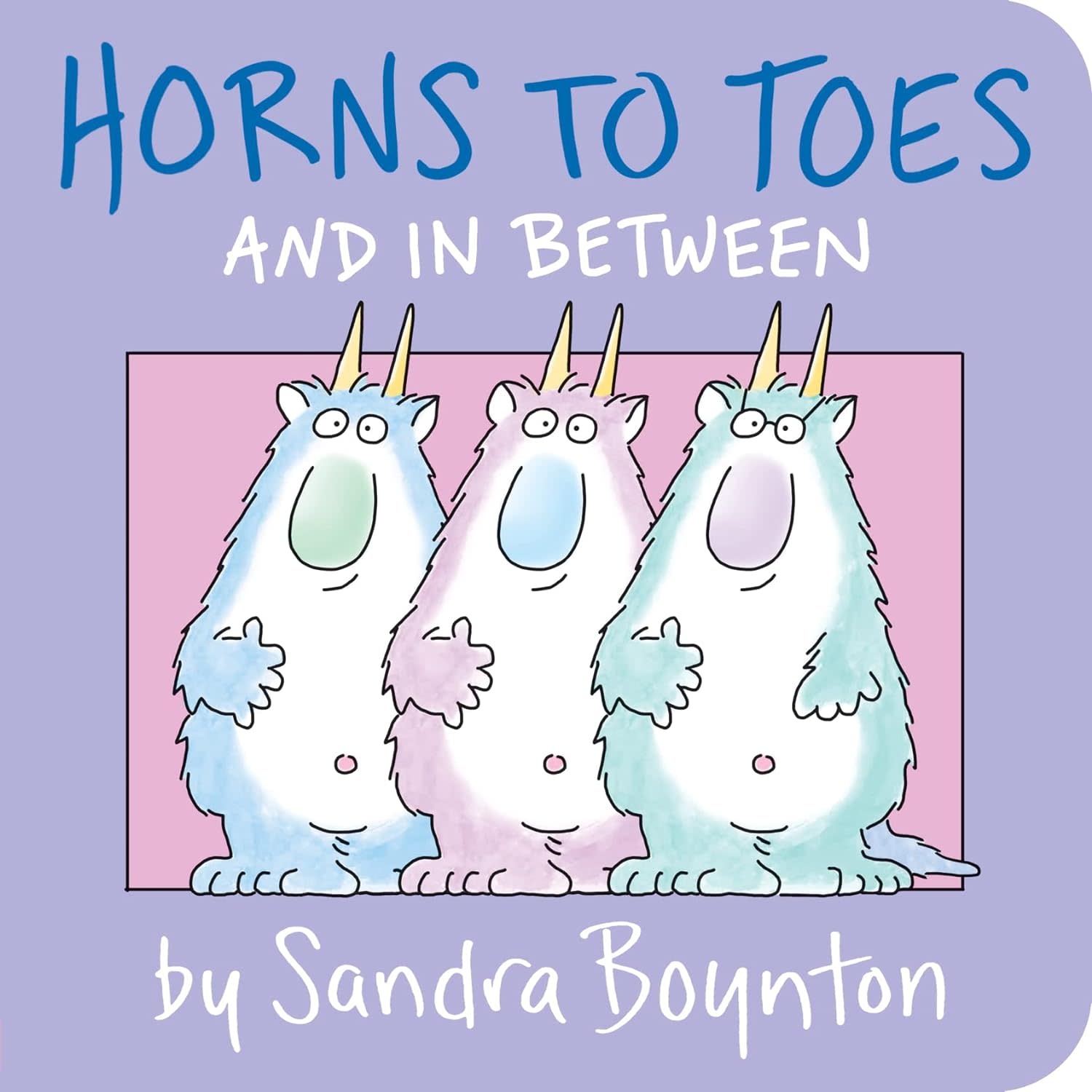 Sandra Boynton Board Book: Horns to Toes