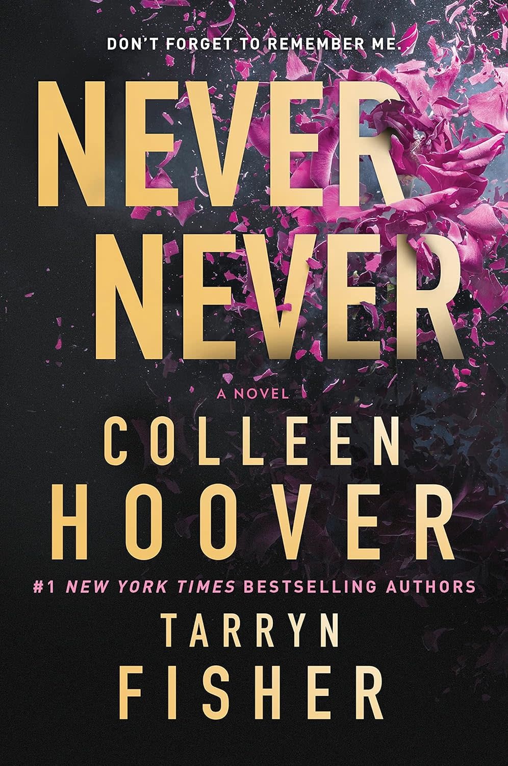 Never Never a Novel