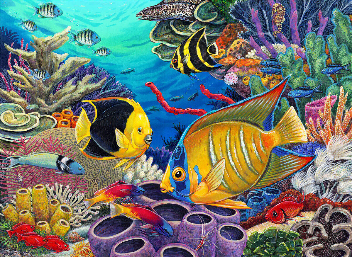 Paint by Numbers Large Caribbean Coral Reef