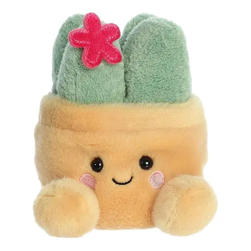 Palm Pals Seyla Succulent