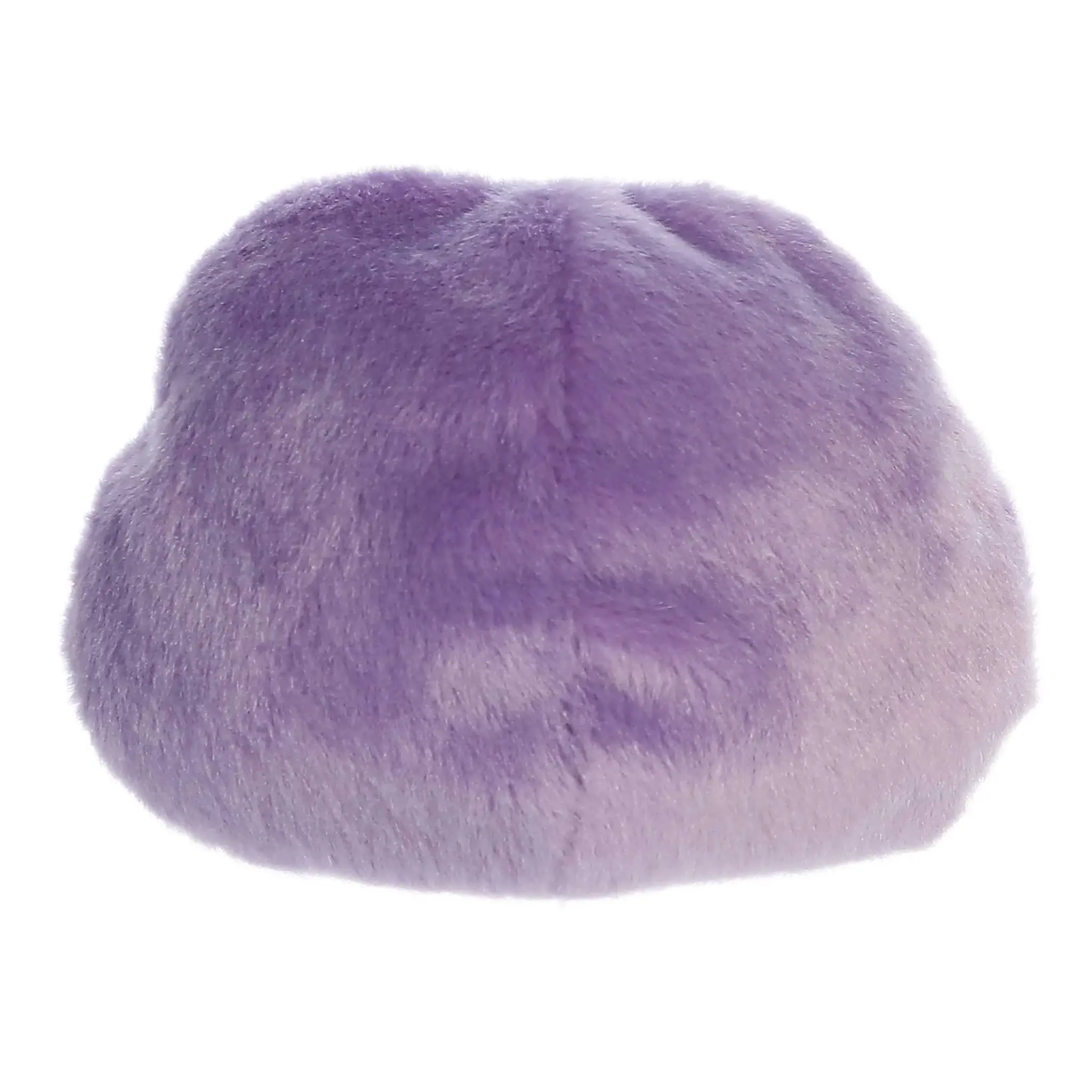 Palm Pals Cal Meteor