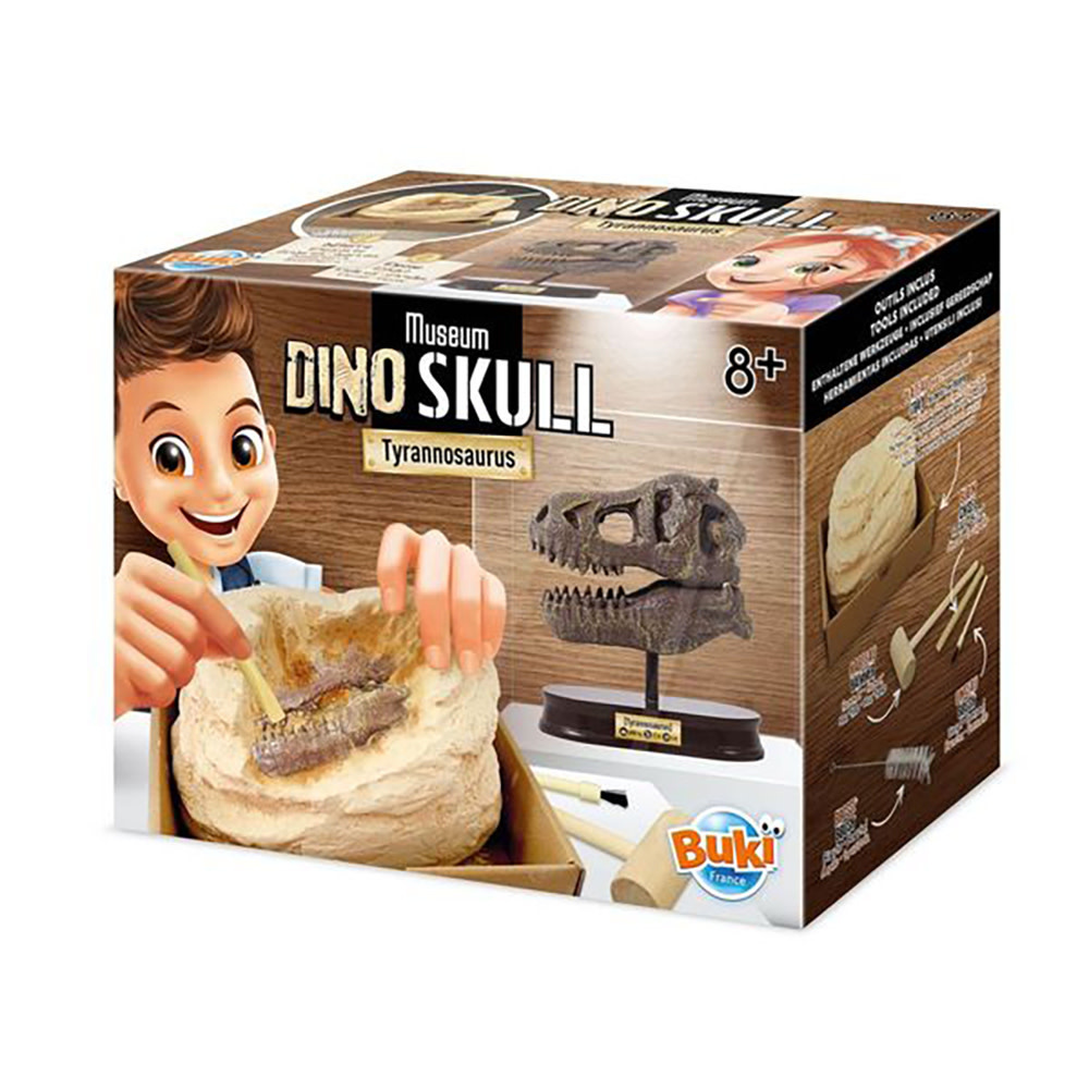Buki Museum Dino Skull