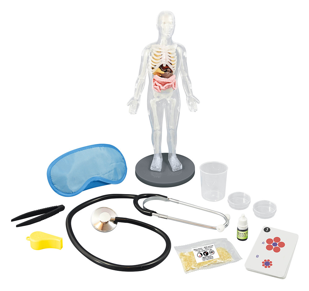 Buki Science Human Body Kit