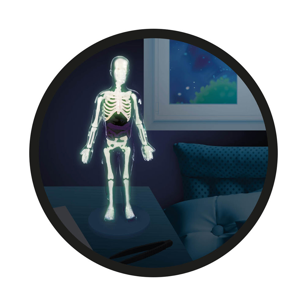 Buki Science Human Body Kit