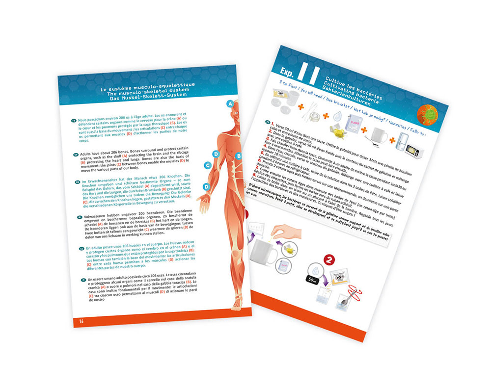 Buki Science Human Body Kit