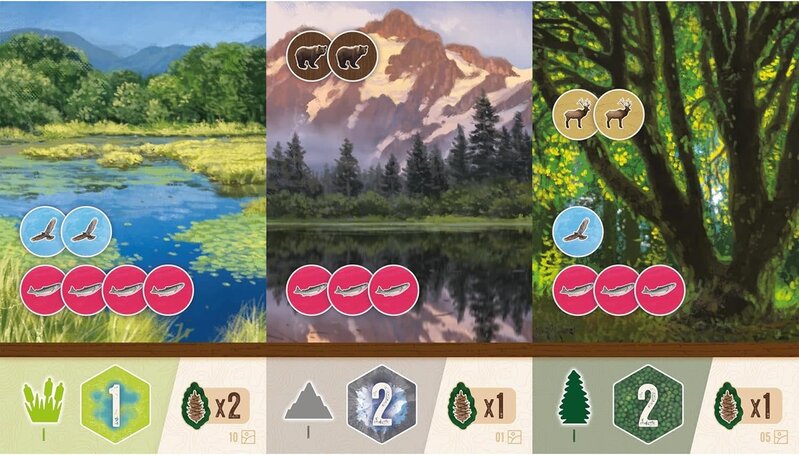 Cascadia Expansion Game: Rolling Hills