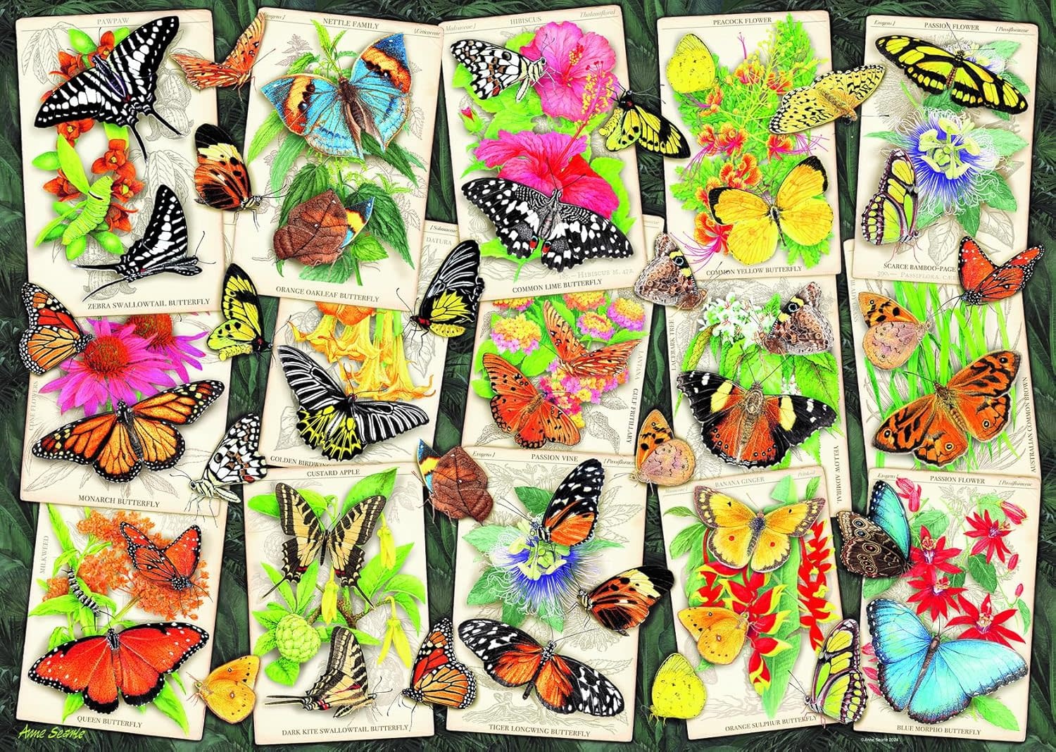 Ravensburger Ravensburger Puzzle 1000pc Tropical Butterflies