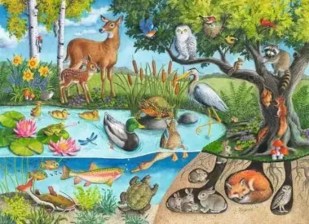 Ravensburger Ravensburger Puzzle 60pc Animals Above and Below