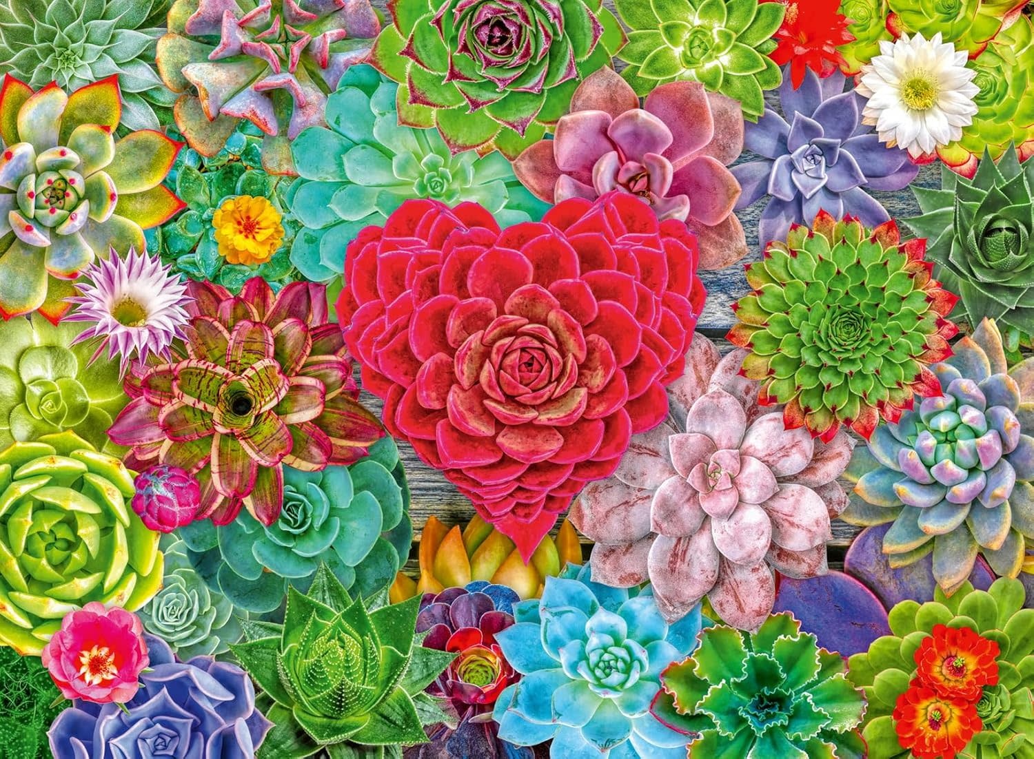 Ravensburger Ravensburger Puzzle 500pc Succulent Love