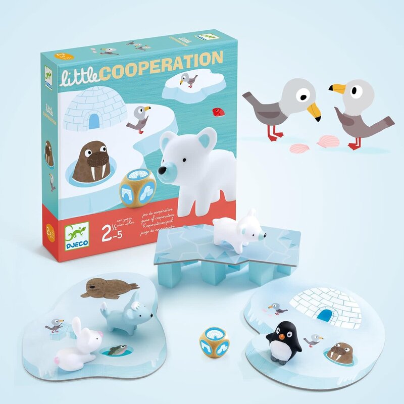 DJeco Little Cooperation Game