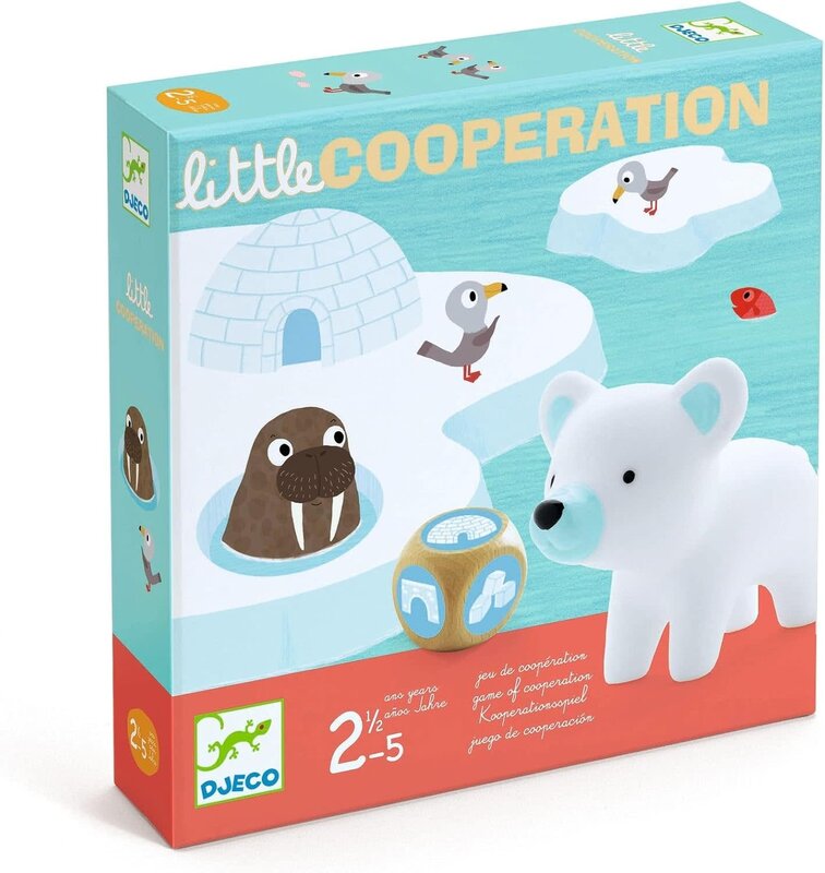 DJeco Little Cooperation Game