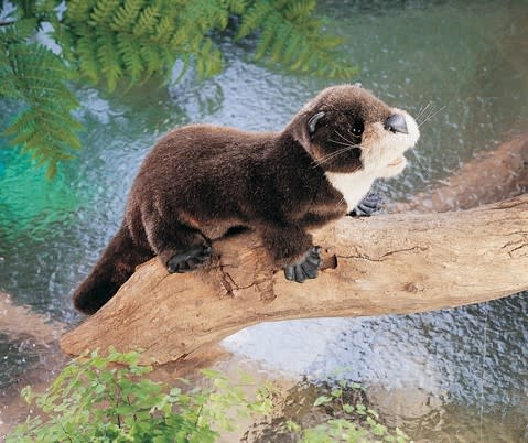 Folkmanis Folkmanis Puppet River Otter
