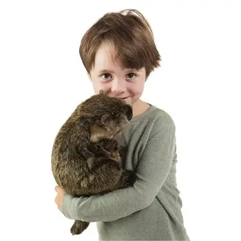 Folkmanis Folkmanis Puppet Ground Hog