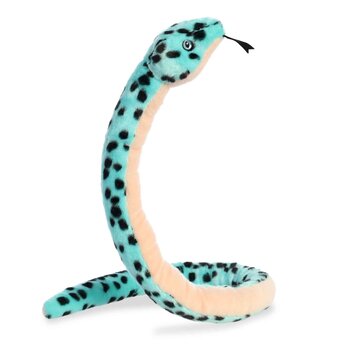 Aurora Snake Aqua Pit Viper