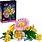 Lego Lego Botanicals Petite Sunny Bouquet
