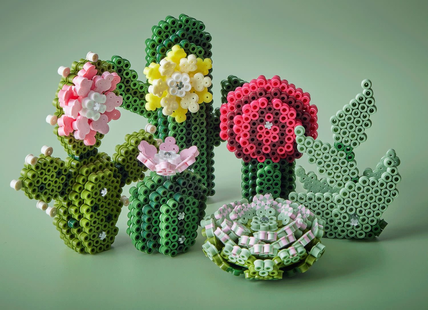 Hama Art - Succulents