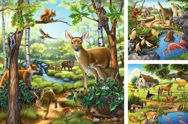 Ravensburger Ravensburger Puzzle 3x49pc Forest, Zoo and Farm Animals