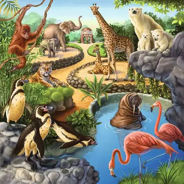 Ravensburger Ravensburger Puzzle 3x49pc Forest, Zoo and Farm Animals