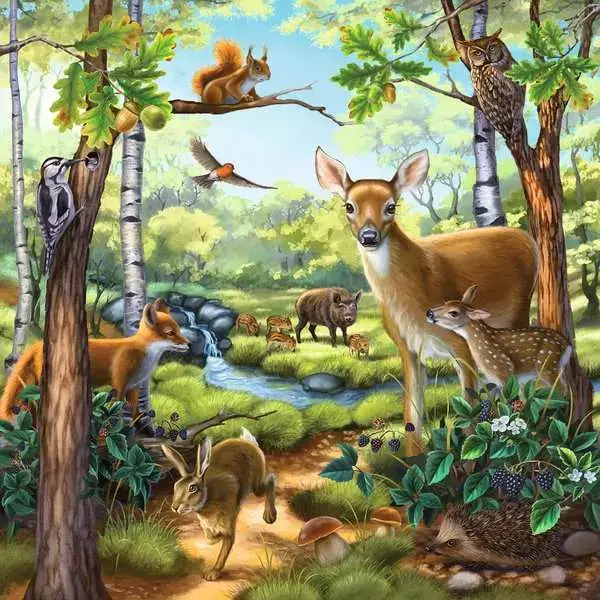 Ravensburger Ravensburger Puzzle 3x49pc Forest, Zoo and Farm Animals