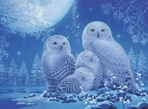 Ravensburger Ravensburger Puzzle 500pc Owls in the Moonlight Glow